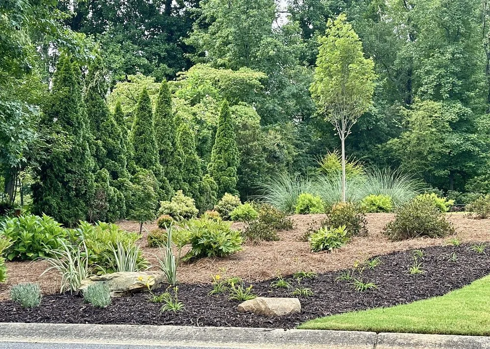 Reliable landscape design in Marietta, GA - Total Lawn