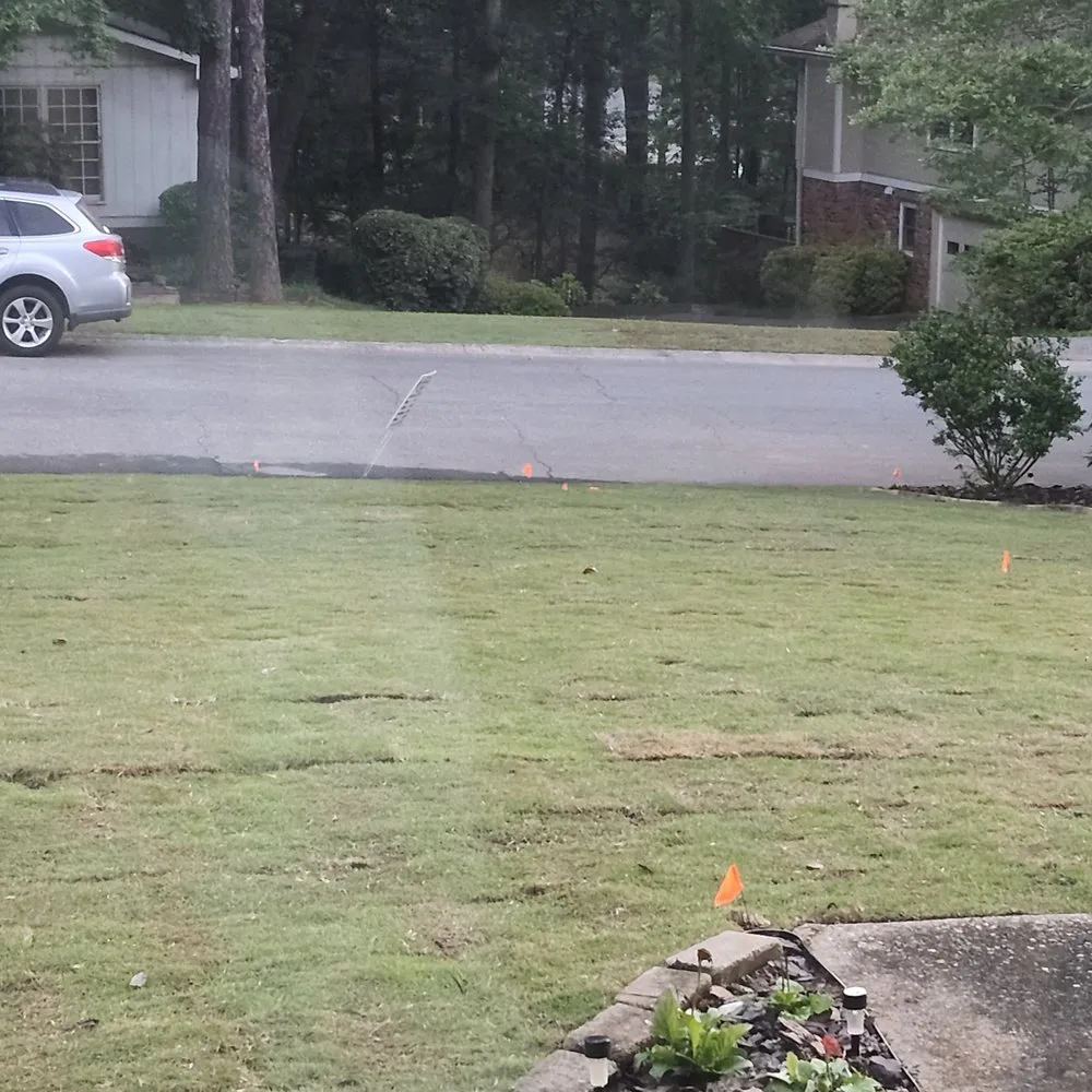 Custom lawn care service experts serving Marietta, GA - Total Lawn