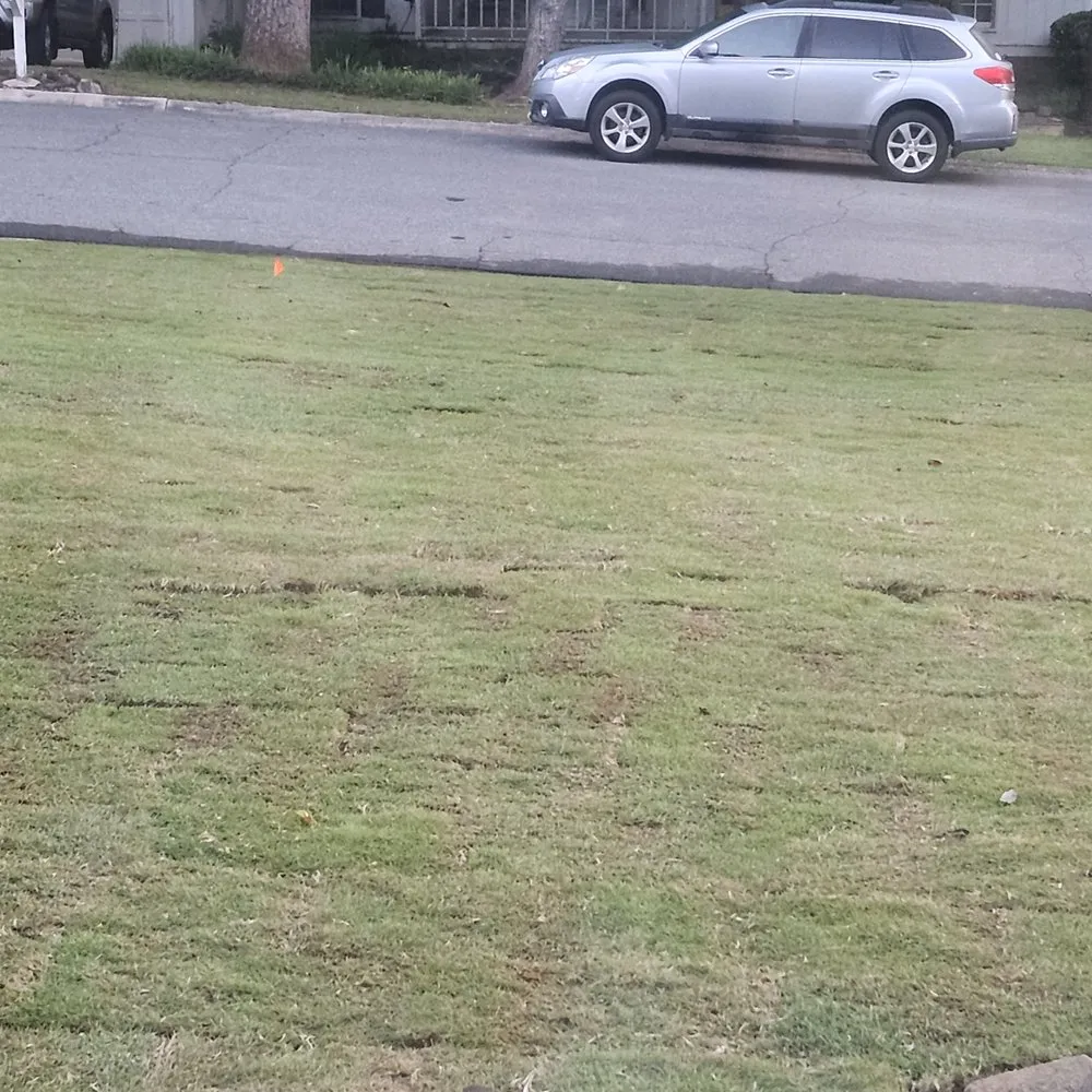 Custom residential landscaping with custom design across Marietta, GA - Total Lawn