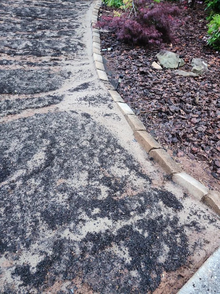 Reliable landscape installation near you in Marietta, GA by Total Lawn