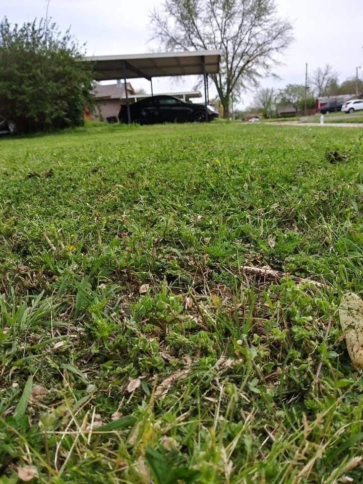 Custom yard maintenance in The Village, OK - Total Lawn Perfection