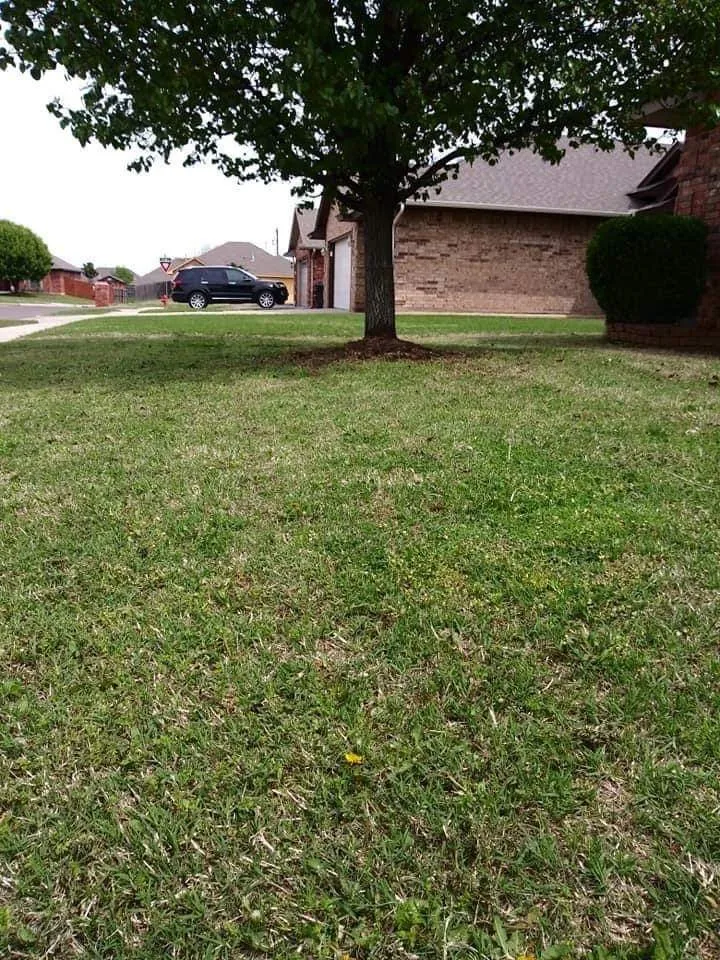 Professional yard maintenance experts serving The Village, OK - Total Lawn Perfection