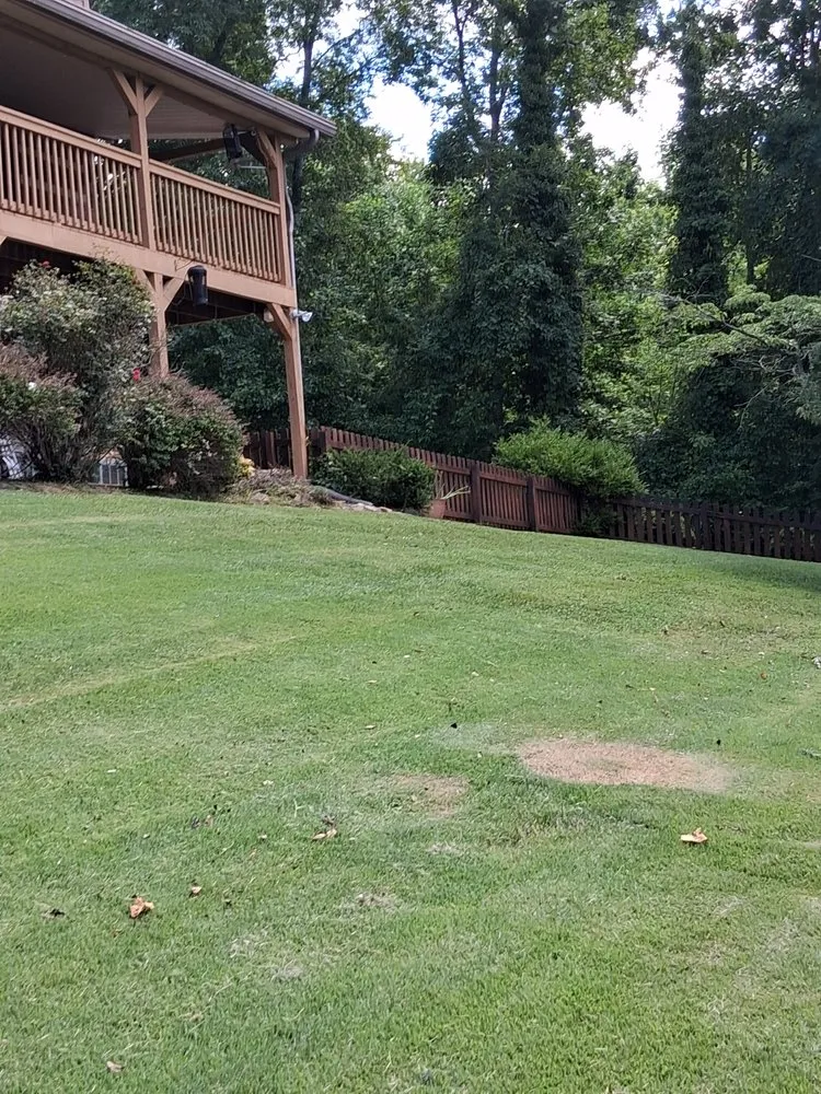 Trusted yard cleanup service with custom design in Rutledge, TN by Total Lawn Pros