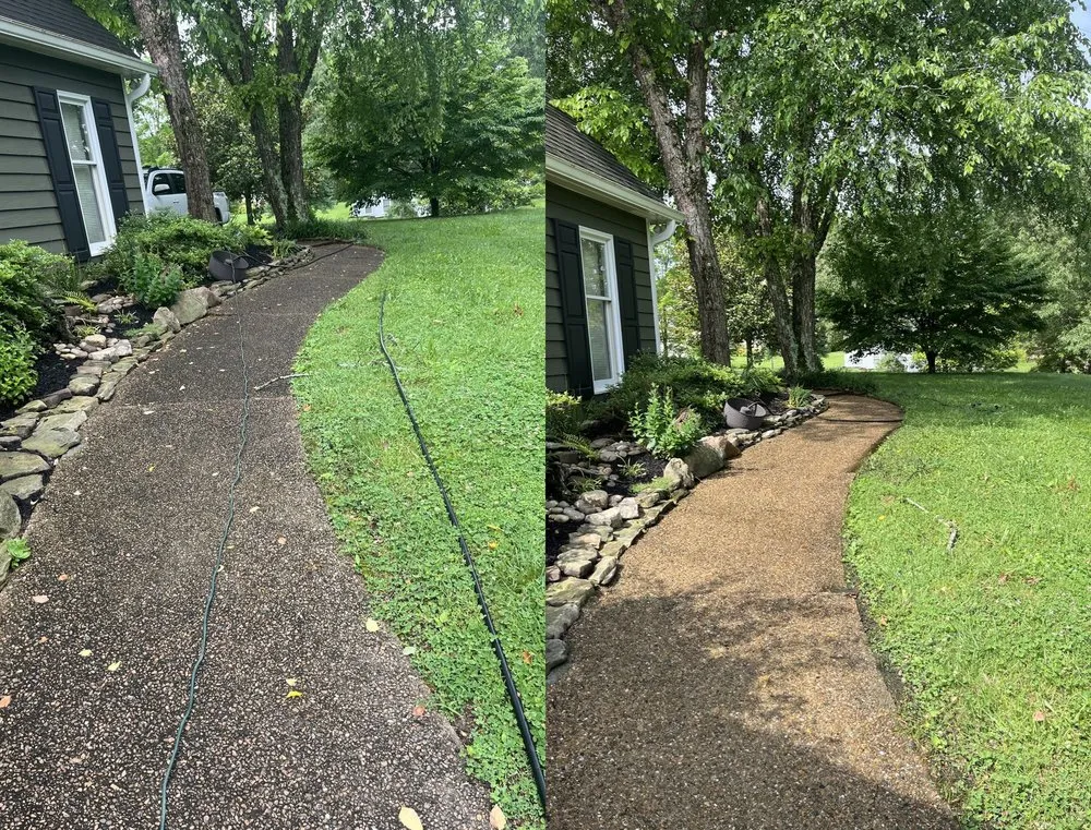 Top-rated yard maintenance for beautiful yards in Knoxville, TN by Total Lawn Solutions