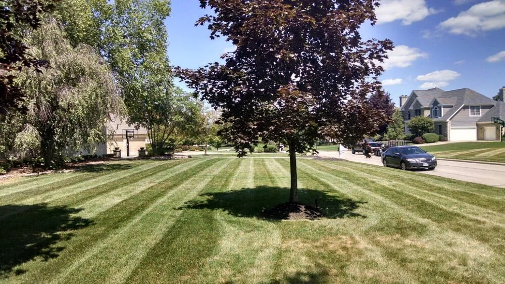 Professional lawn care service for residential properties across Columbus, OH - Total Lawns And Landscaping