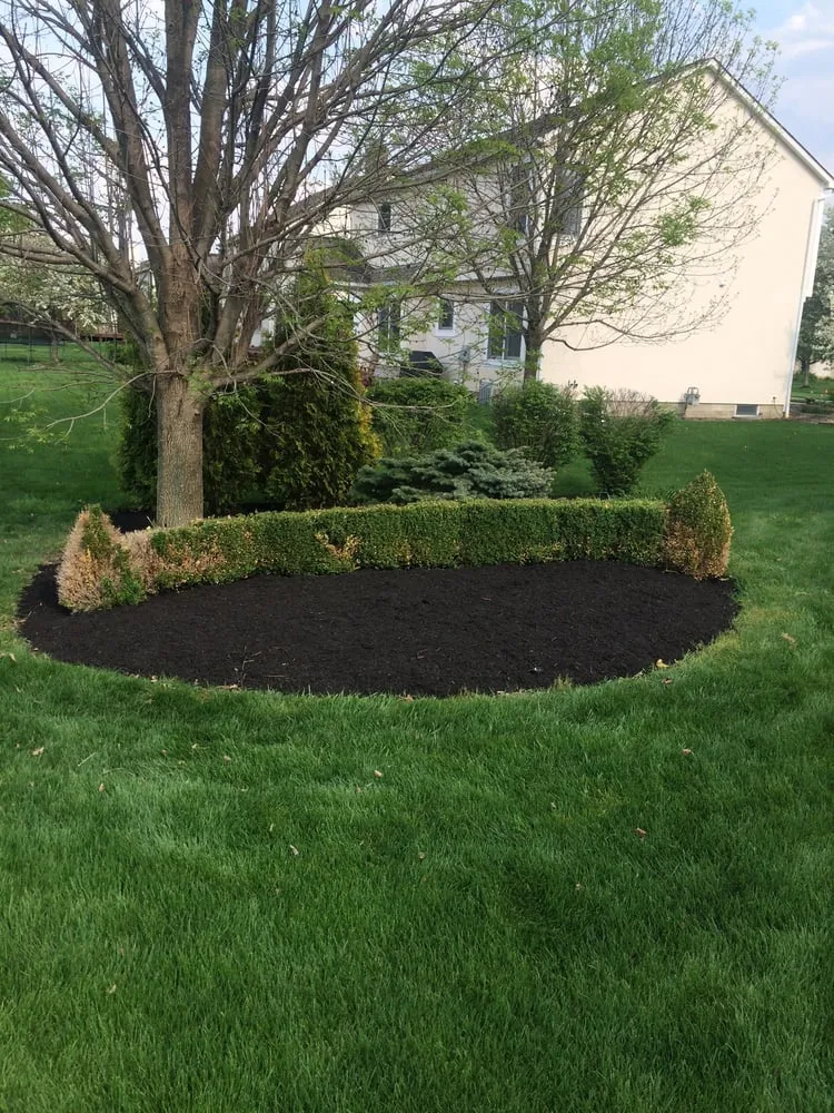 Expert landscaping services in Columbus, OH - Total Lawns And Landscaping