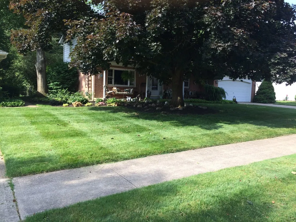 Reliable lawn care service for outdoor upgrades across Columbus, OH - Total Lawns And Landscaping