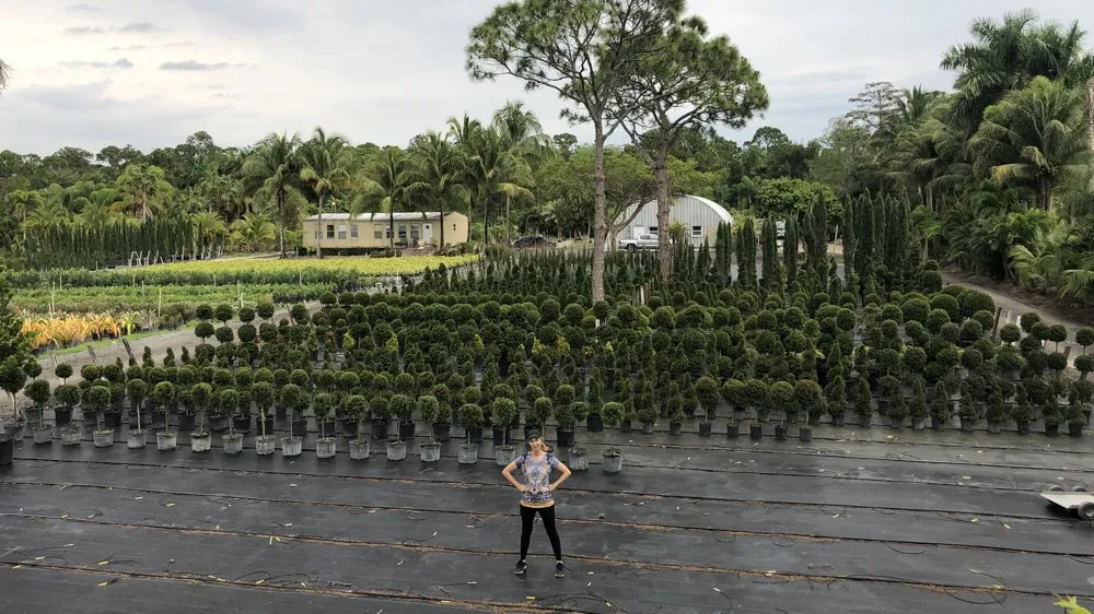 Reliable landscape design with custom design across Delray Beach, FL - Total Maintenance