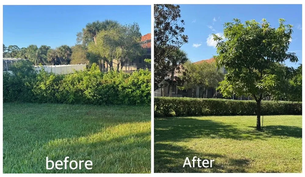 Trusted yard maintenance for residential properties in Cocoa, FL by Total Maintenance Landscaping