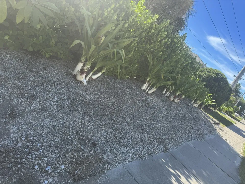 Custom landscaping services in Cocoa, FL by Total Maintenance Landscaping