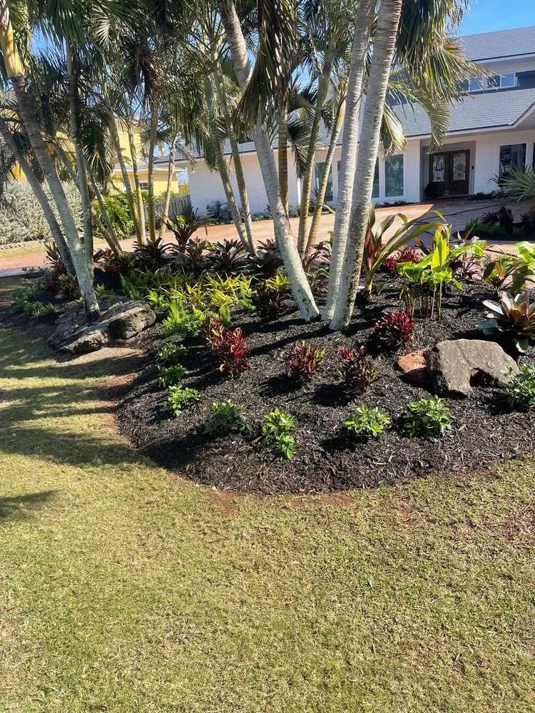 Custom yard cleanup service experts serving Cocoa, FL - Total Maintenance Landscaping