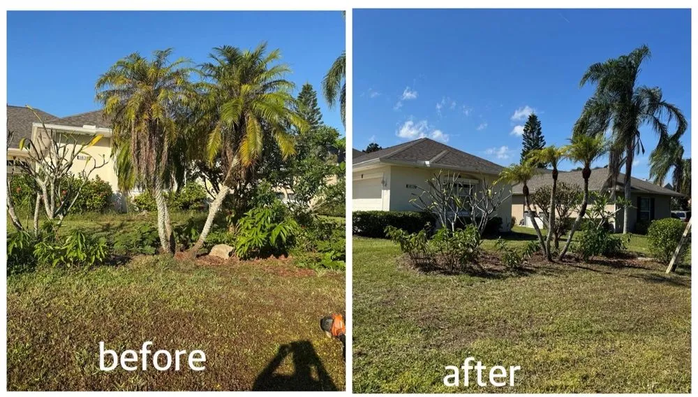 Expert yard maintenance experts serving Cocoa, FL - Total Maintenance Landscaping