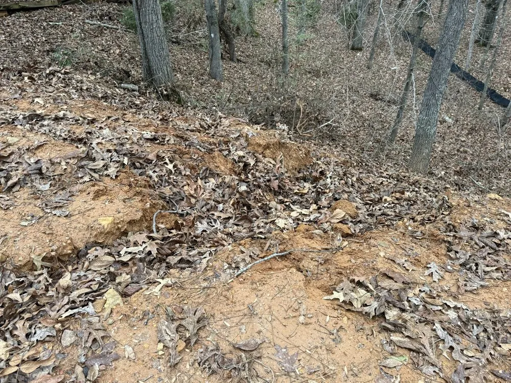 Expert yard maintenance in Carrollton, GA by Total Outdoor Solutions