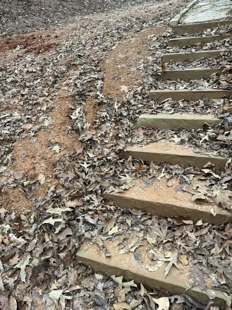 Affordable landscaping services in Carrollton, GA - Total Outdoor Solutions