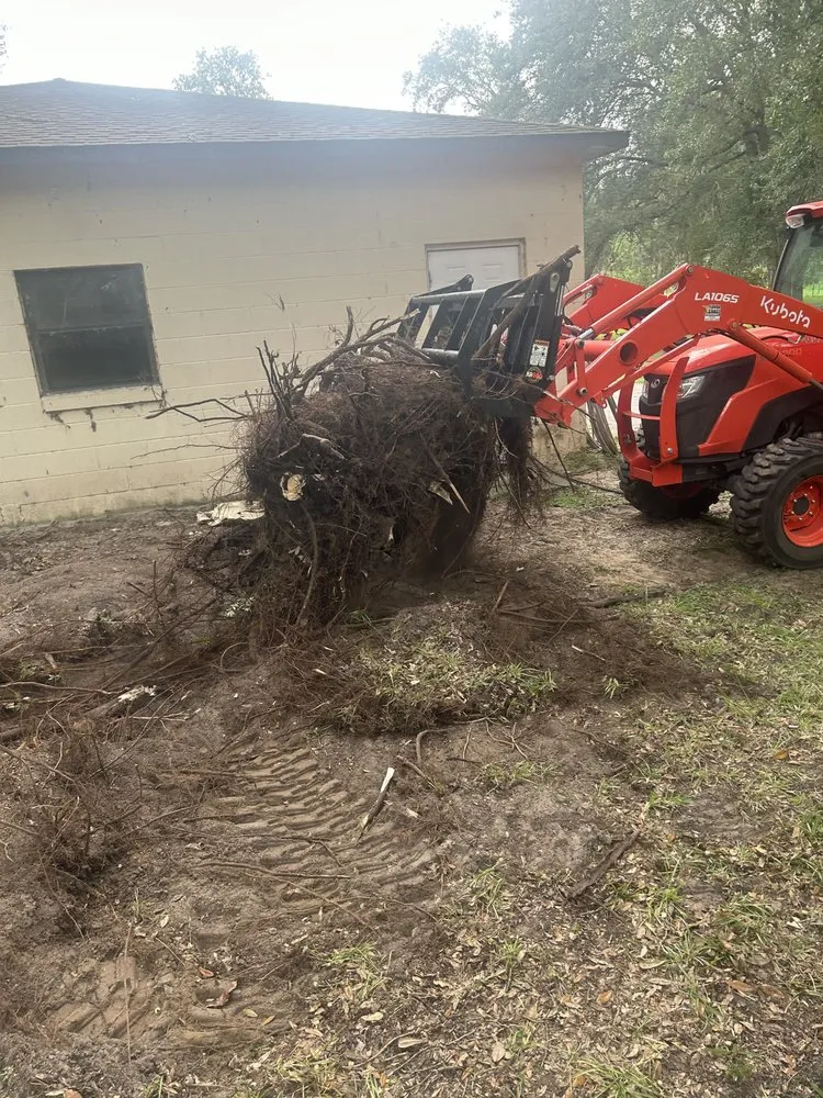 Trusted residential landscaping in Ocala, FL by Total Perfection Lawn Care