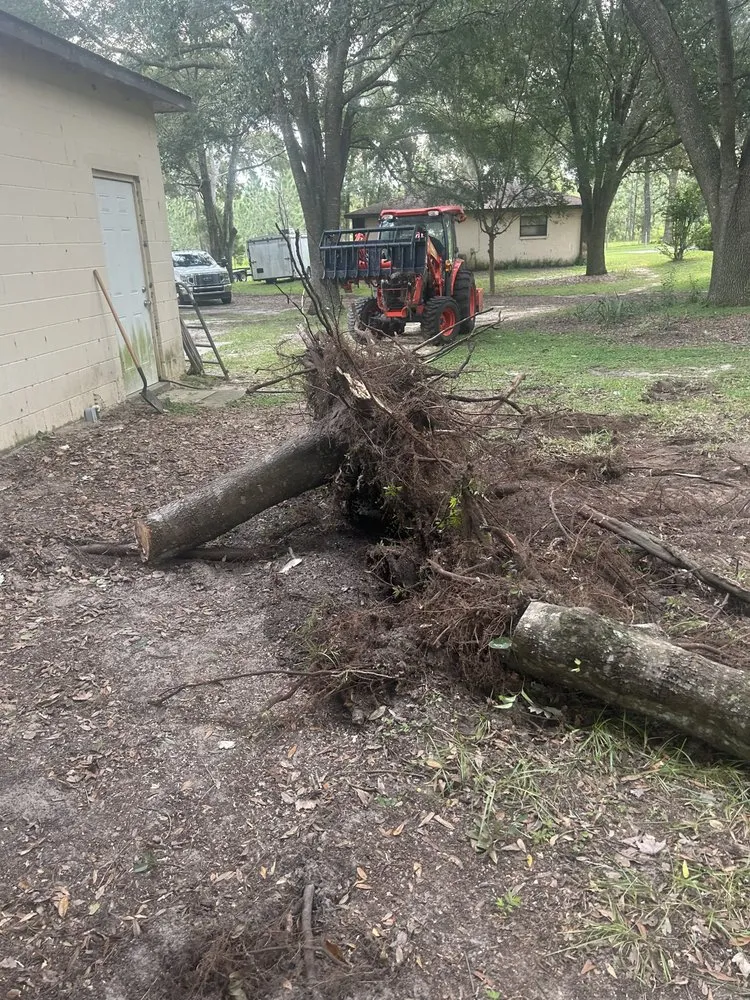 Local yard cleanup service in Ocala, FL by Total Perfection Lawn Care