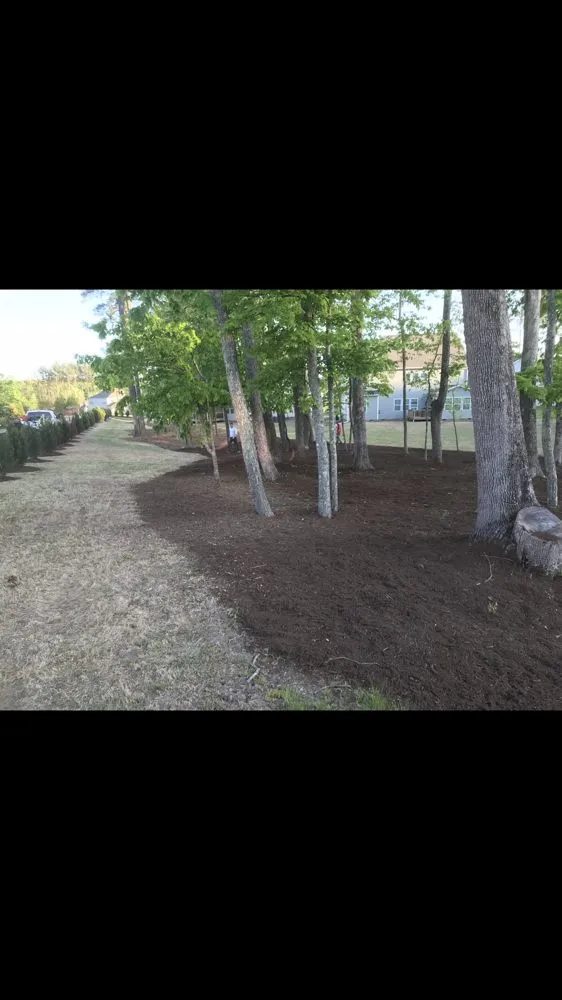 Custom landscaping services with custom design across Durham, NC - Total Plumbing - Durham