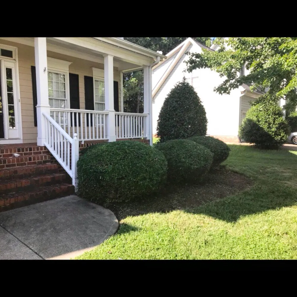 Top-rated residential landscaping in Durham, NC - Total Plumbing - Durham