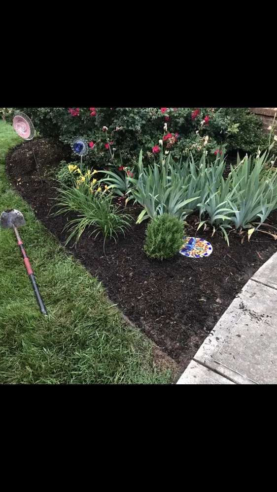 Trusted landscape design in Durham, NC by Total Plumbing - Durham