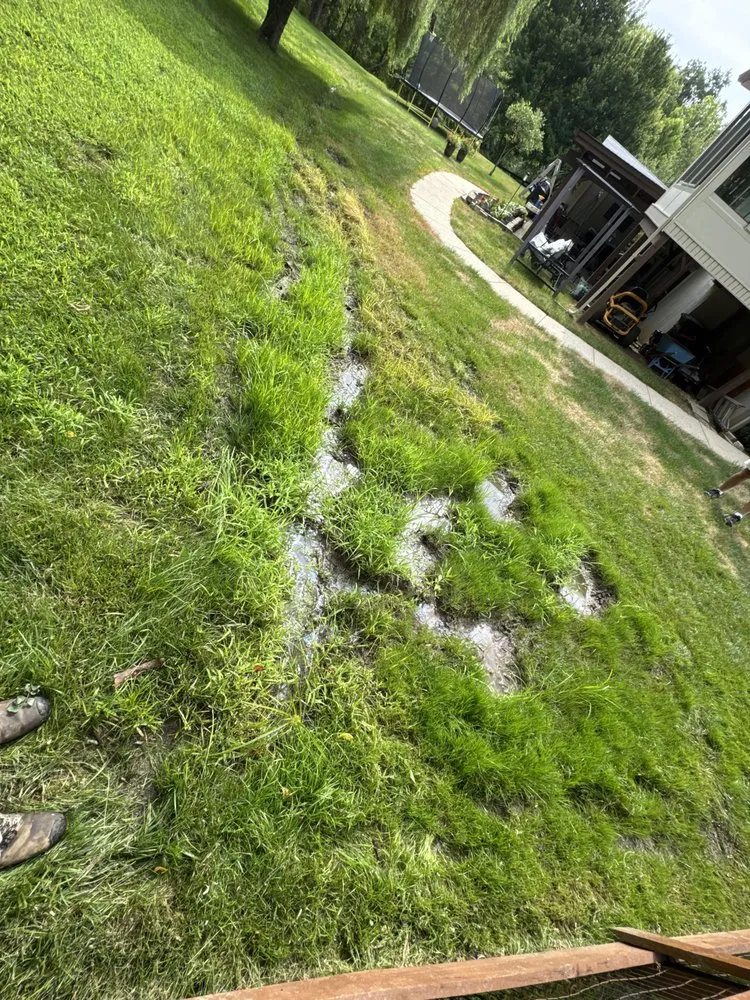 Top-rated residential landscaping for residential properties in Cincinnati, OH by Total Property Development