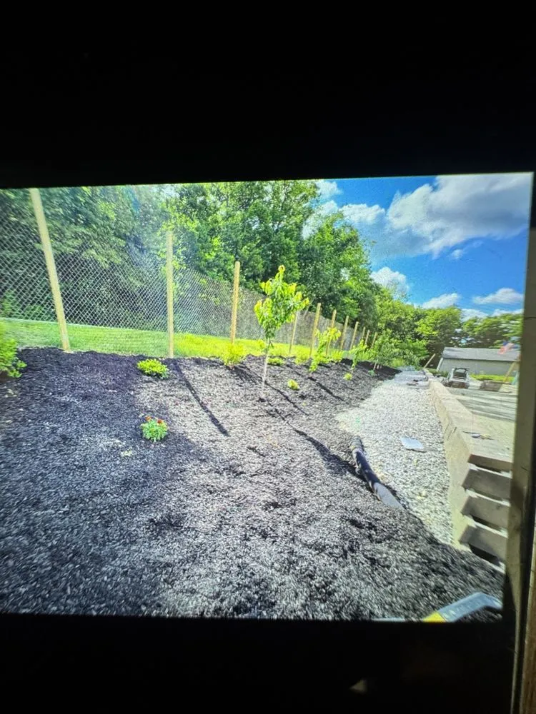 Affordable landscape design in Cincinnati, OH - Total Property Development