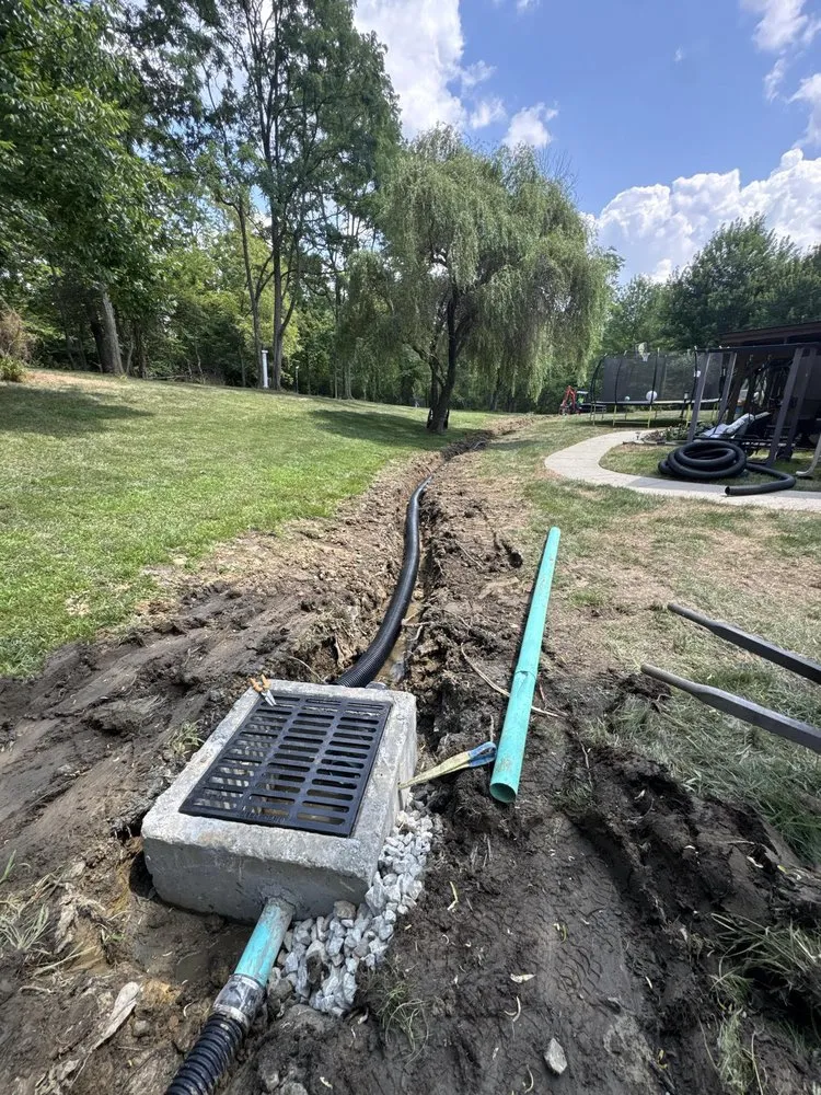 Top-rated yard cleanup service in Cincinnati, OH - Total Property Development