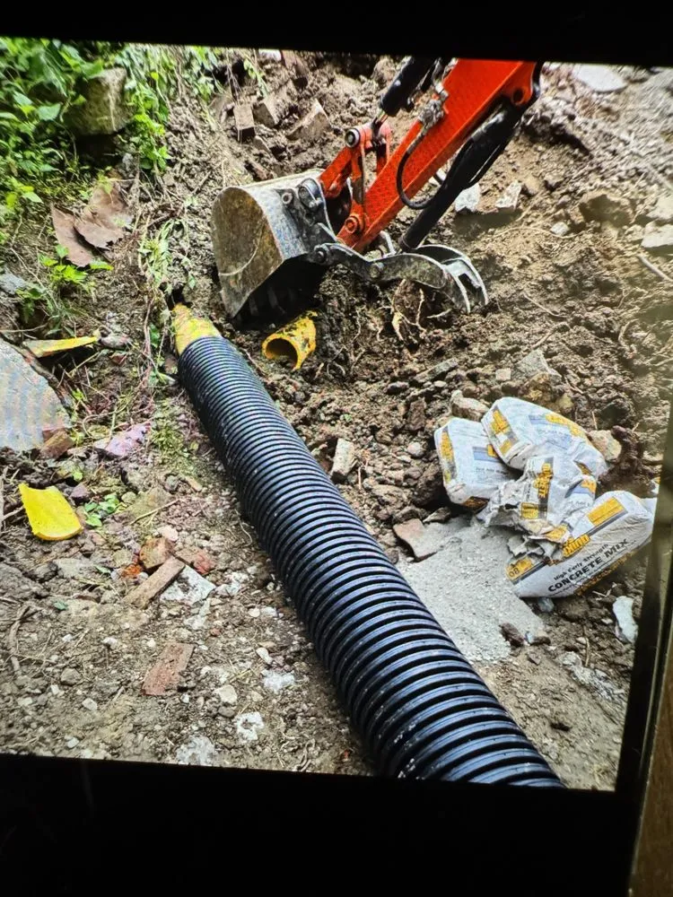 Expert lawn care service for residential properties across Cincinnati, OH - Total Property Development