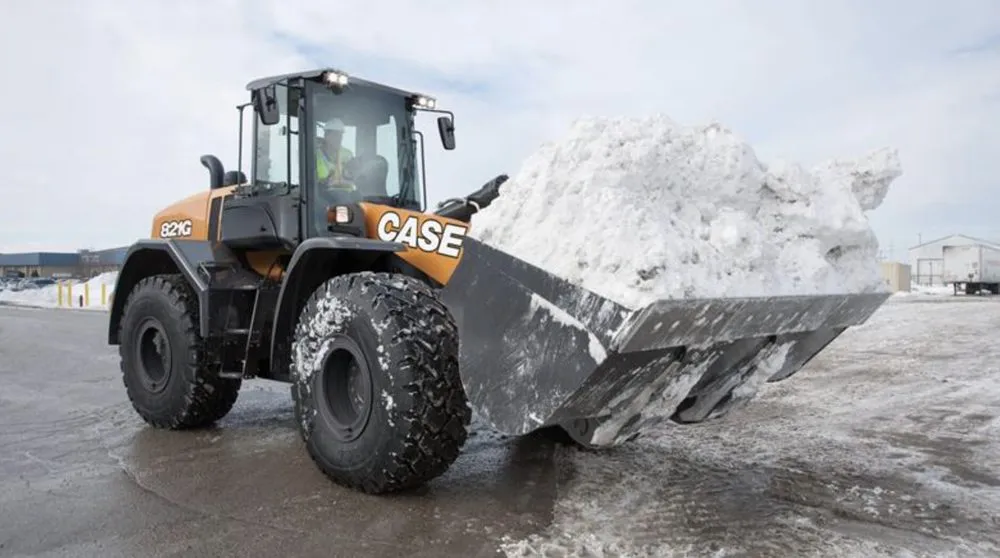 Professional yard cleanup service in Plainwell, MI - Total Property Management Group