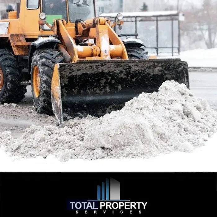 Affordable landscaping services with custom design across Tacoma, WA - Total Property Services