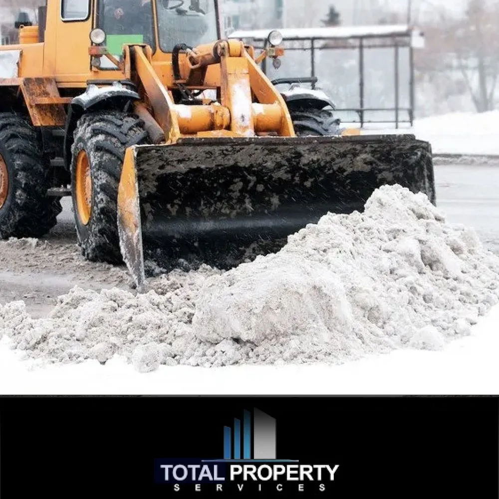 Affordable outdoor landscaping in Tacoma, WA - Total Property Services