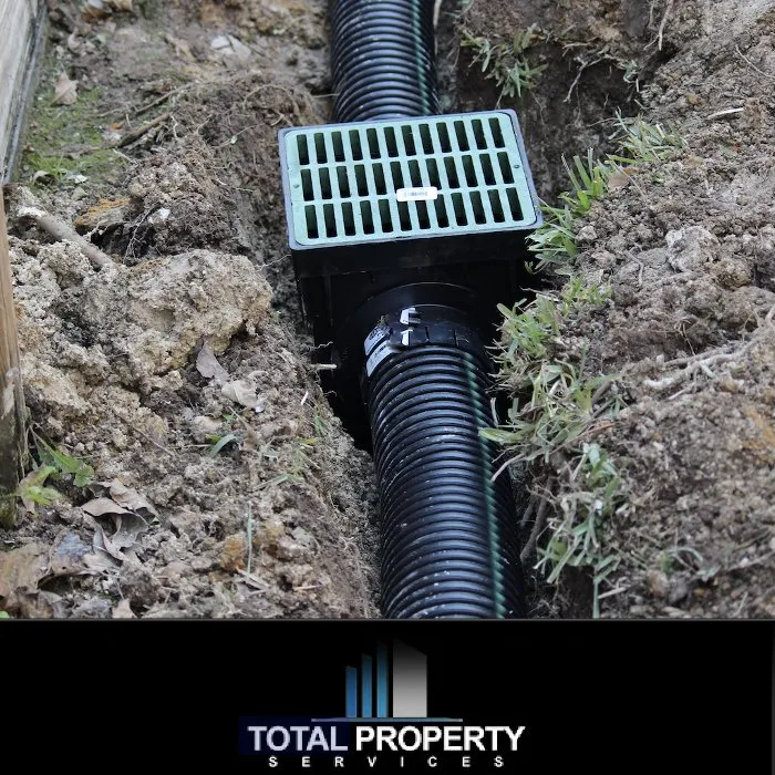 Expert yard cleanup service for beautiful yards across Tacoma, WA - Total Property Services