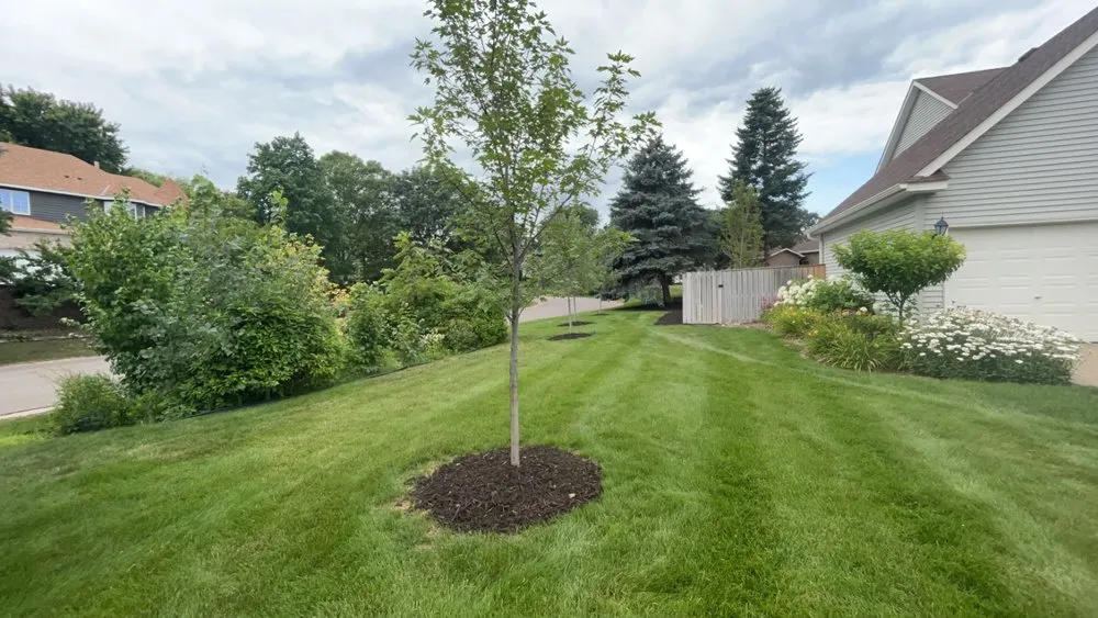 Trusted outdoor landscaping in Mahtomedi, MN - Total Scape