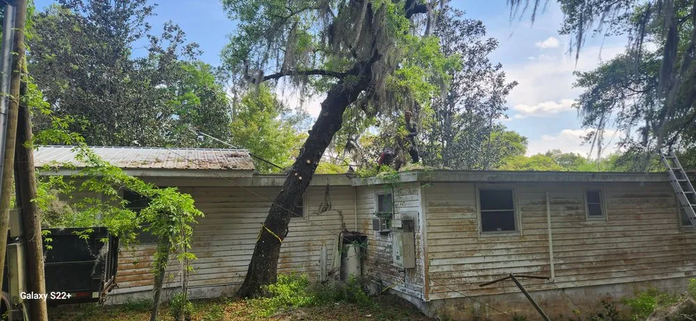 Top-rated outdoor landscaping in Ocala, FL by Total Service