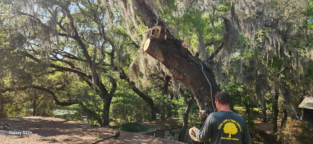 Reliable yard maintenance experts serving Ocala, FL - Total Service