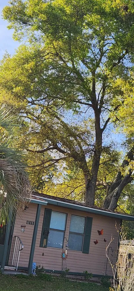 Expert outdoor landscaping for homes in Ocala, FL by Total Service