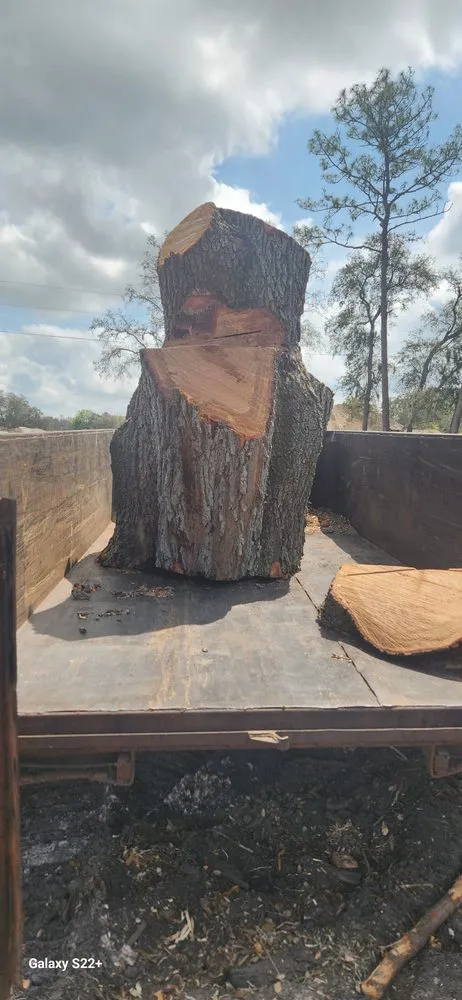 Expert outdoor landscaping in Ocala, FL by Total Service