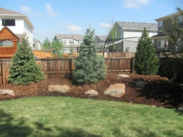 Top-rated yard cleanup service in Emerson, IA by Total Solutions
