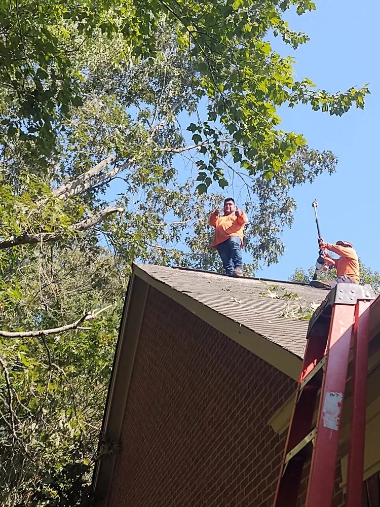 Trusted residential landscaping in West Columbia, SC by Total Solutions Landscaping