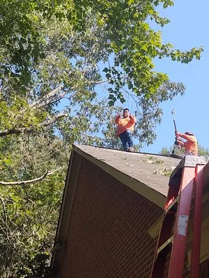 Total Solutions Landscaping Logo