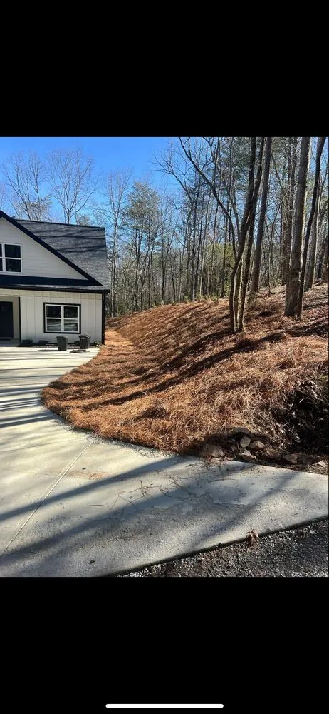 Top-rated landscaping services with custom design in Dahlonega, GA by Total Terrain Property Care