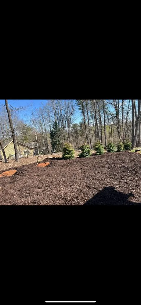 Professional landscaping services in Dahlonega, GA - Total Terrain Property Care