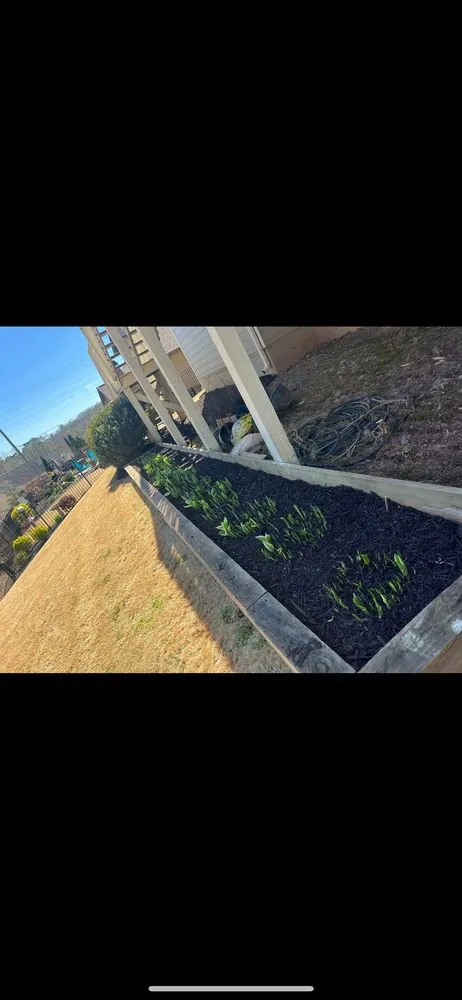 Reliable garden landscaping experts serving Dahlonega, GA - Total Terrain Property Care