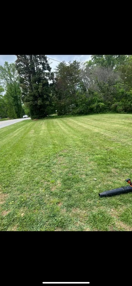 Top-rated residential landscaping for year-round maintenance across Dahlonega, GA - Total Terrain Property Care