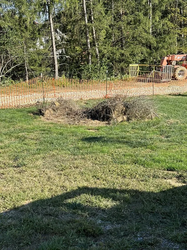 Expert lawn care service experts serving Ridley Park, PA - Total Tree and Landscaping