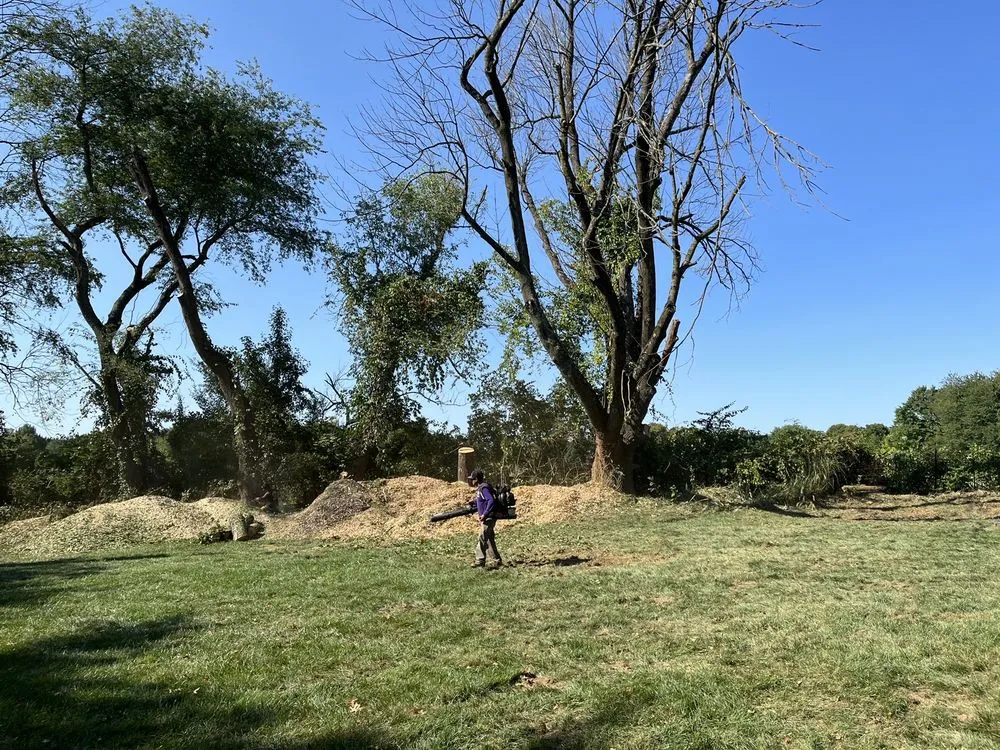 Expert residential landscaping in Ridley Park, PA - Total Tree and Landscaping