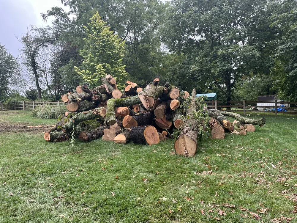 Trusted landscape design in Ridley Park, PA by Total Tree and Landscaping