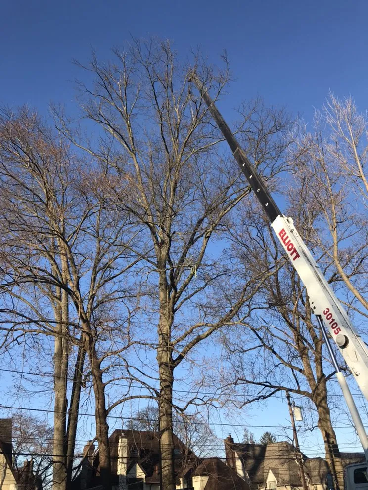 Trusted landscape installation for year-round maintenance in Ridley Park, PA by Total Tree and Landscaping