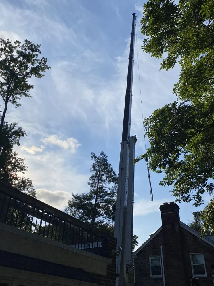 Top-rated yard cleanup service in Ridley Park, PA by Total Tree and Landscaping