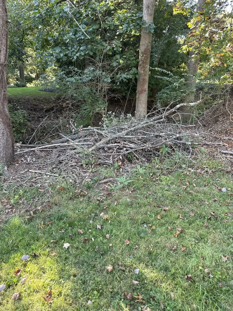 Local landscape design in Ridley Park, PA - Total Tree and Landscaping