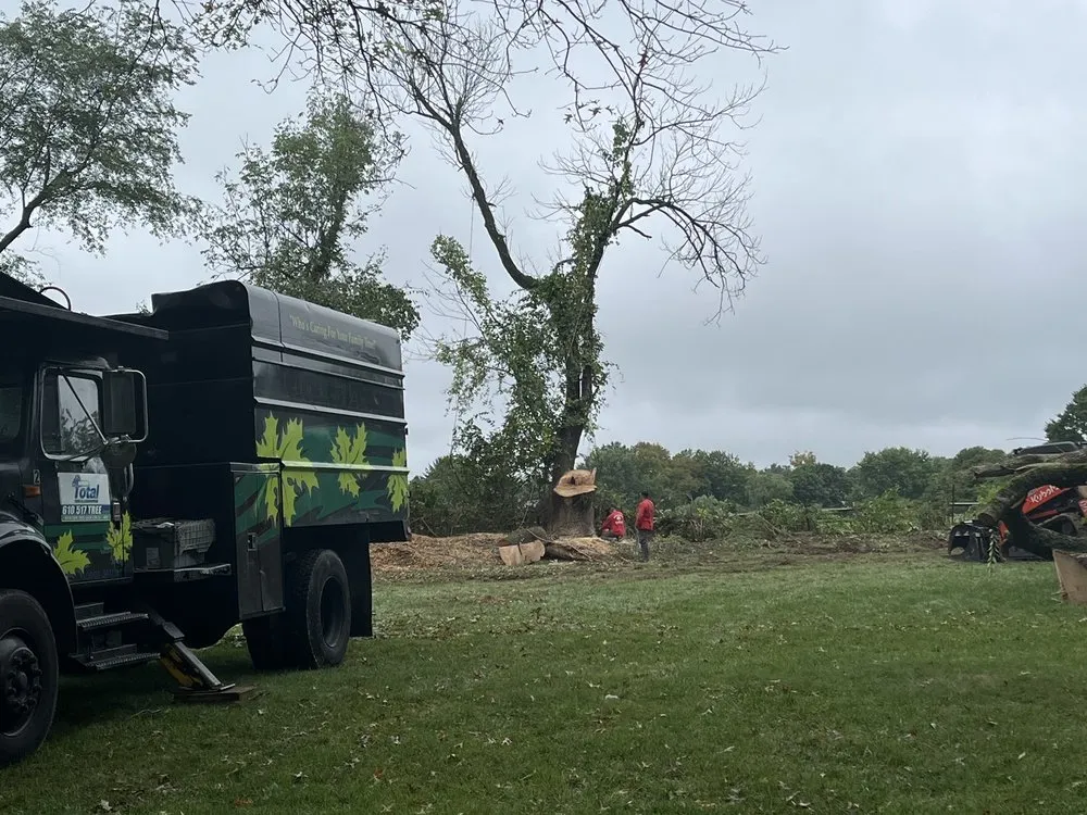 Trusted outdoor landscaping in Ridley Park, PA by Total Tree and Landscaping